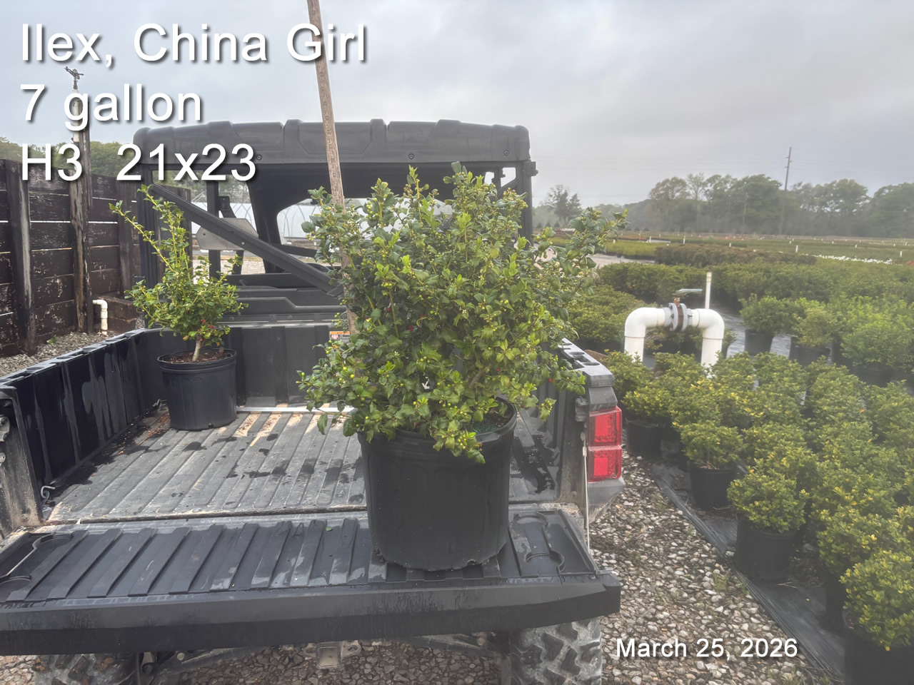 gallery/cg7 h3 mar25.jpg